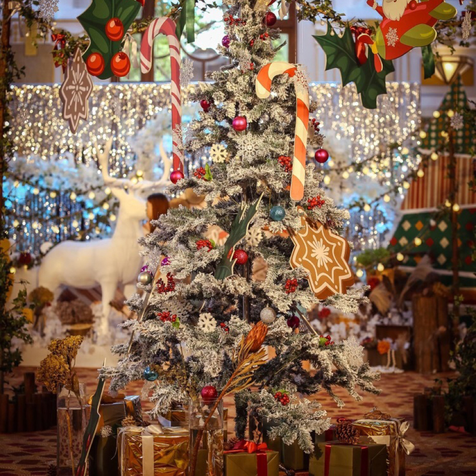 白色圣诞节-花园饭店