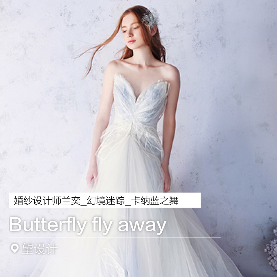 Butterfly fly away