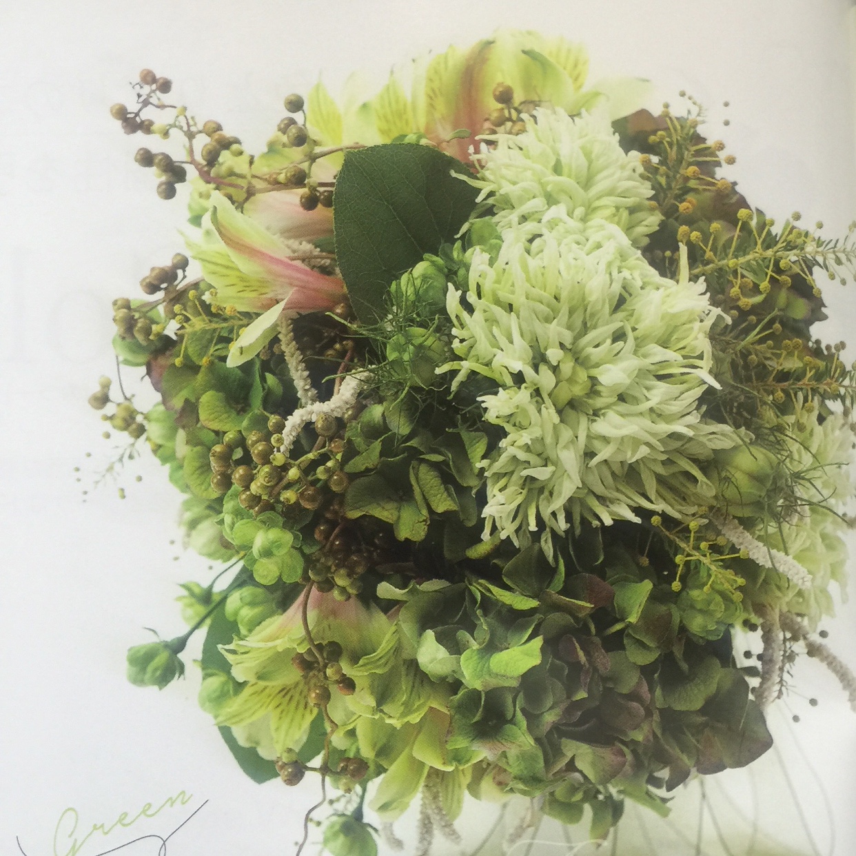 手捧花集锦