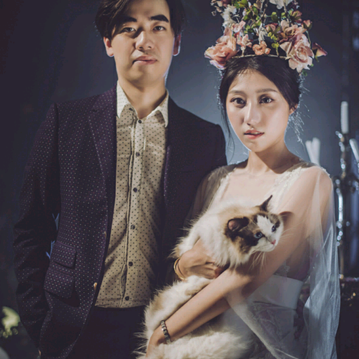 两人一猫  牵手一生